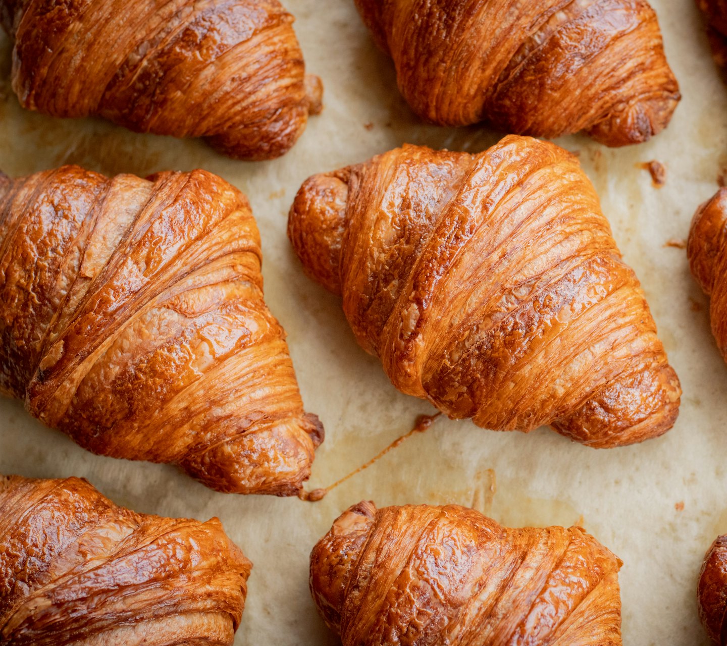 Menu B8fb78cafa8cc593e51a1e1619f972e6a4ae5528